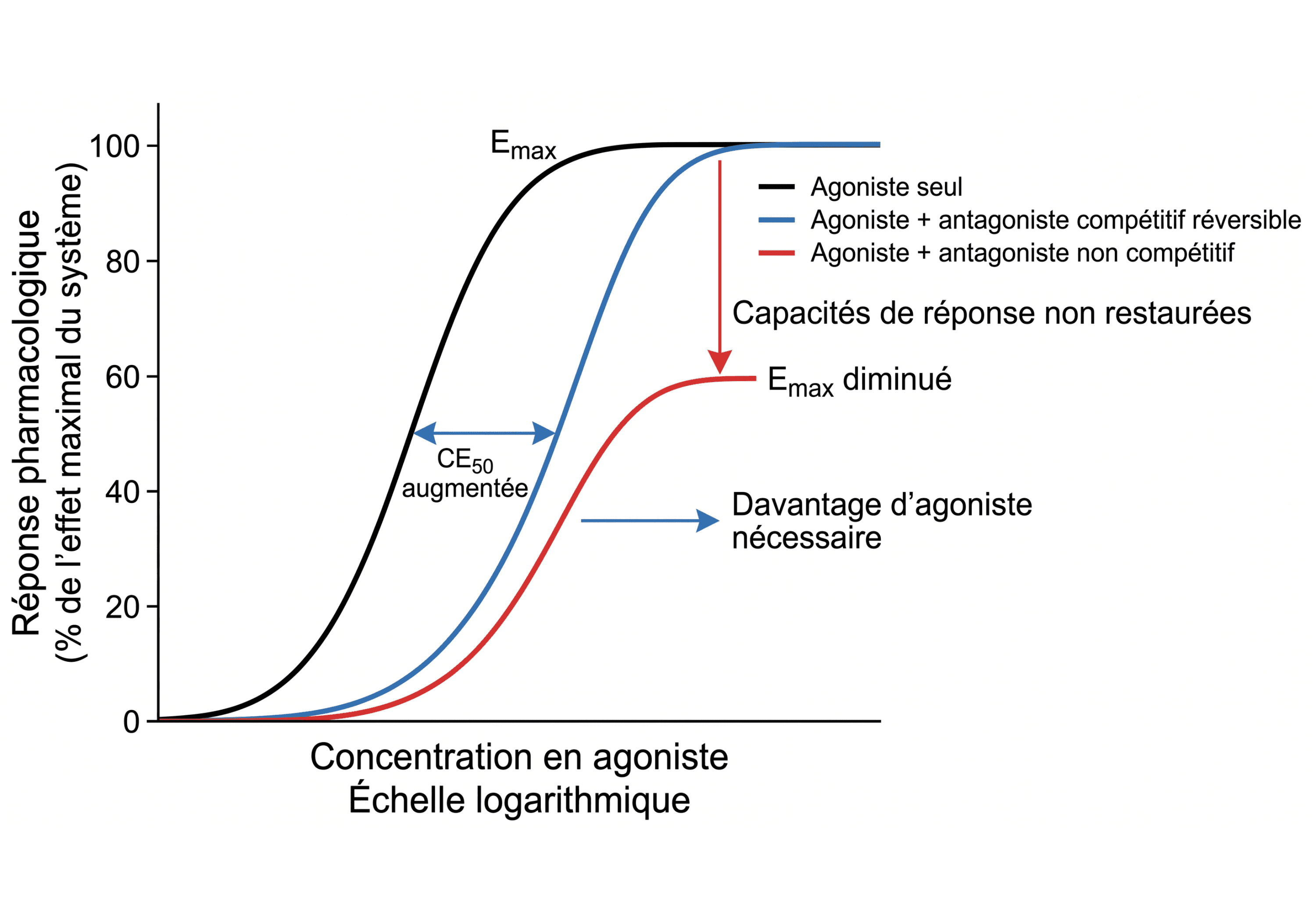 Conséquences des antagonismes sur la courbe concentration-effet