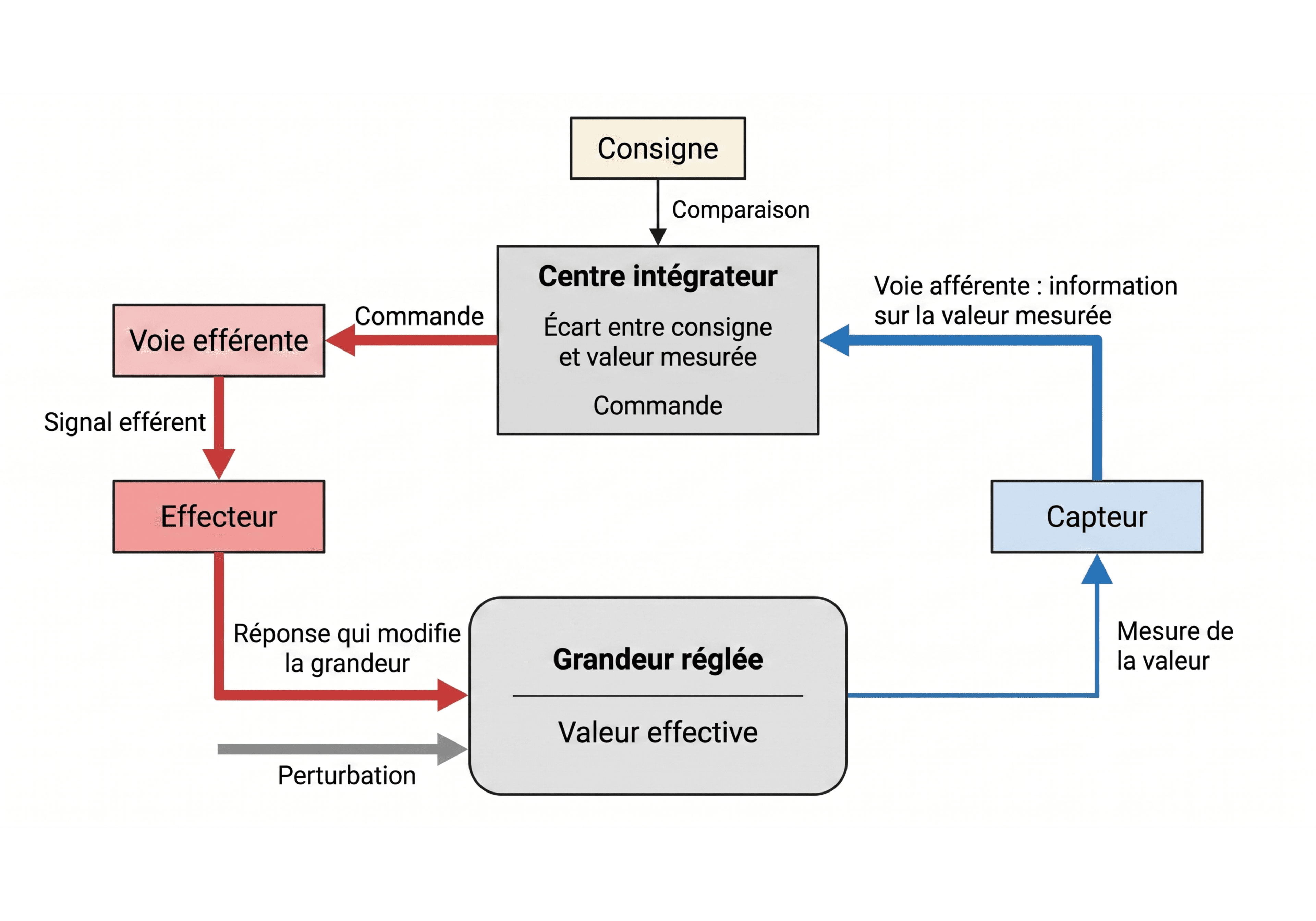 Organisation d'une boucle de régulation fermée