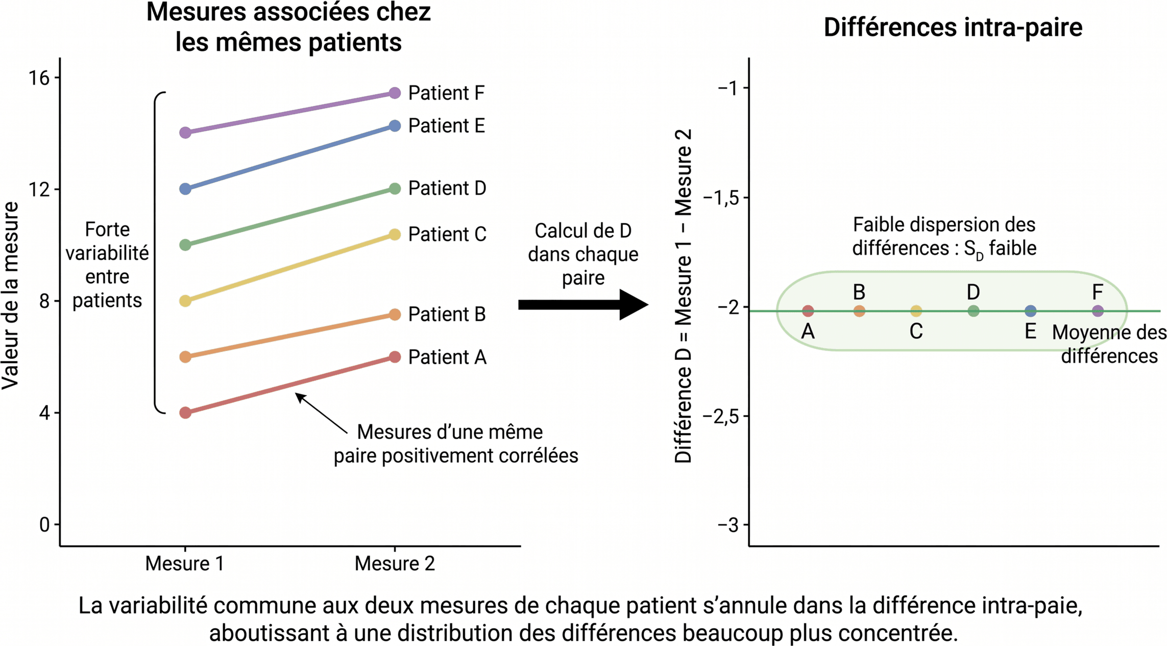 Pourquoi l'appariement réduit la variabilité des différences
