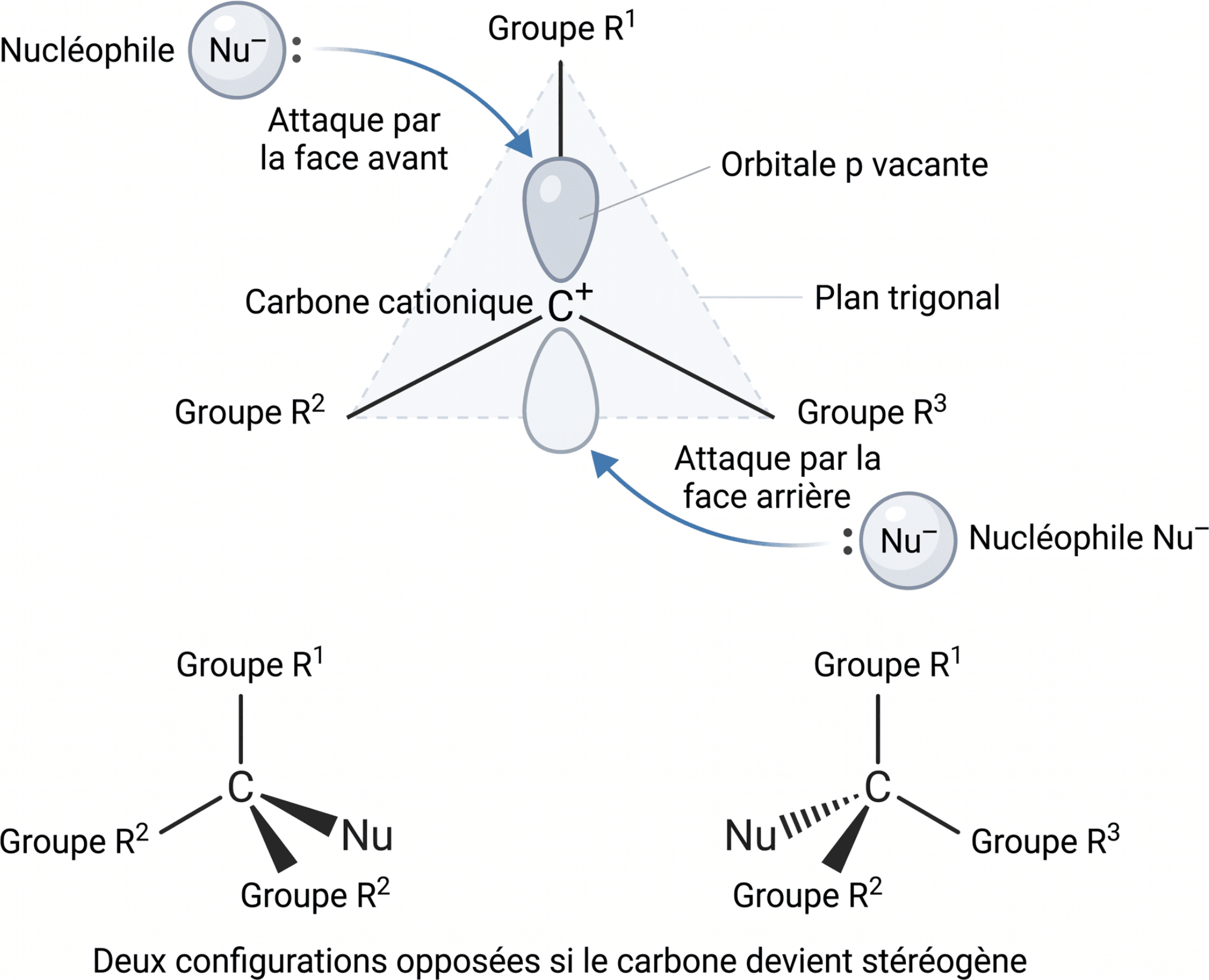 Attaque des deux faces d’un carbocation plan