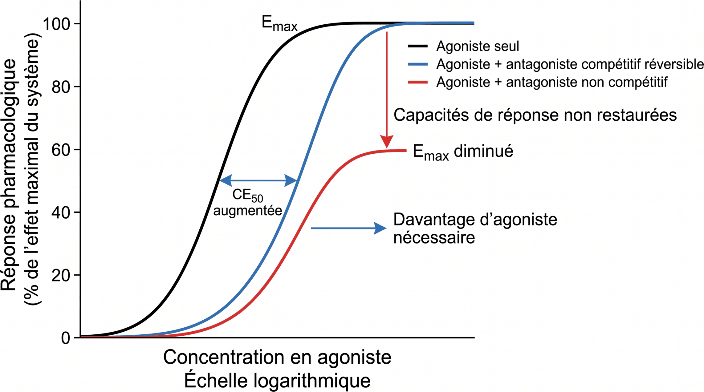 Conséquences des antagonismes sur la courbe concentration-effet