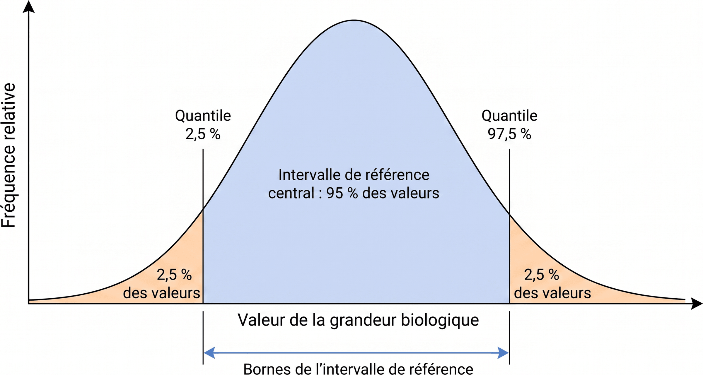 Construction d'un intervalle de référence central à 95 %