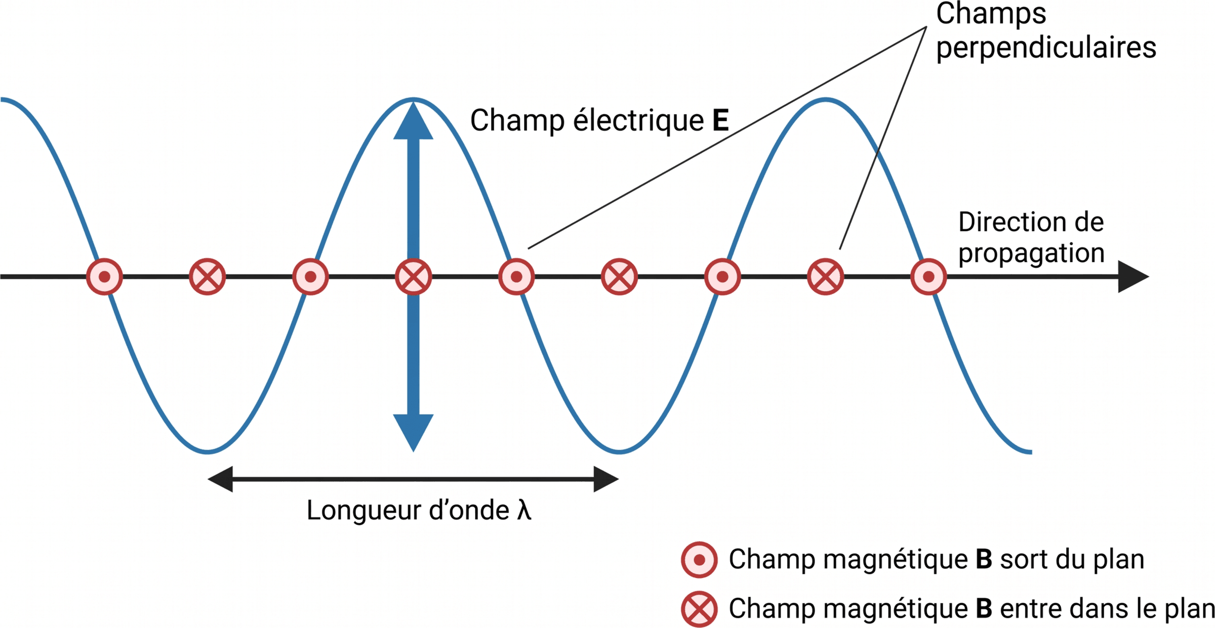 Orientation des champs d’une onde électromagnétique