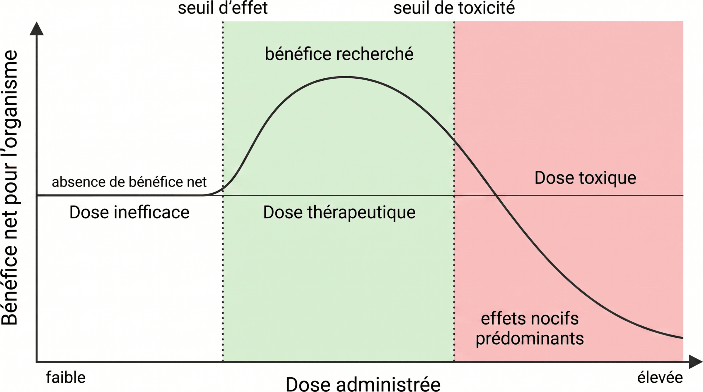 Relation schématique entre dose, bénéfice et toxicité
