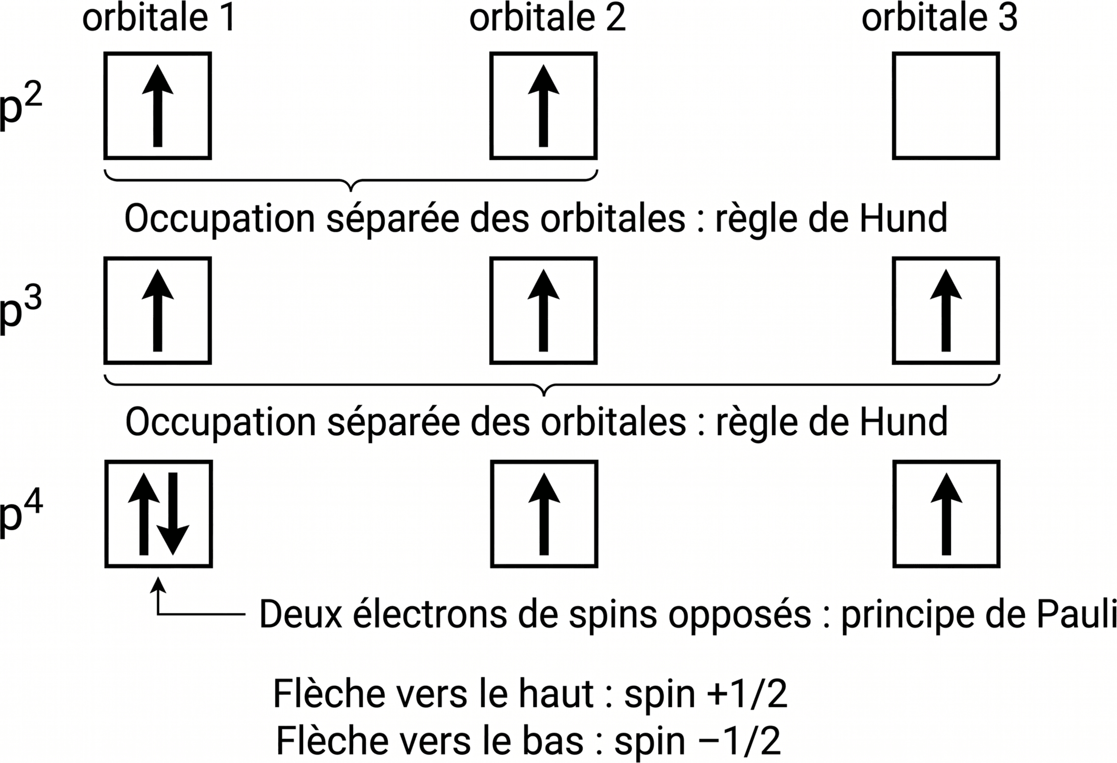 Répartition des électrons dans trois orbitales p