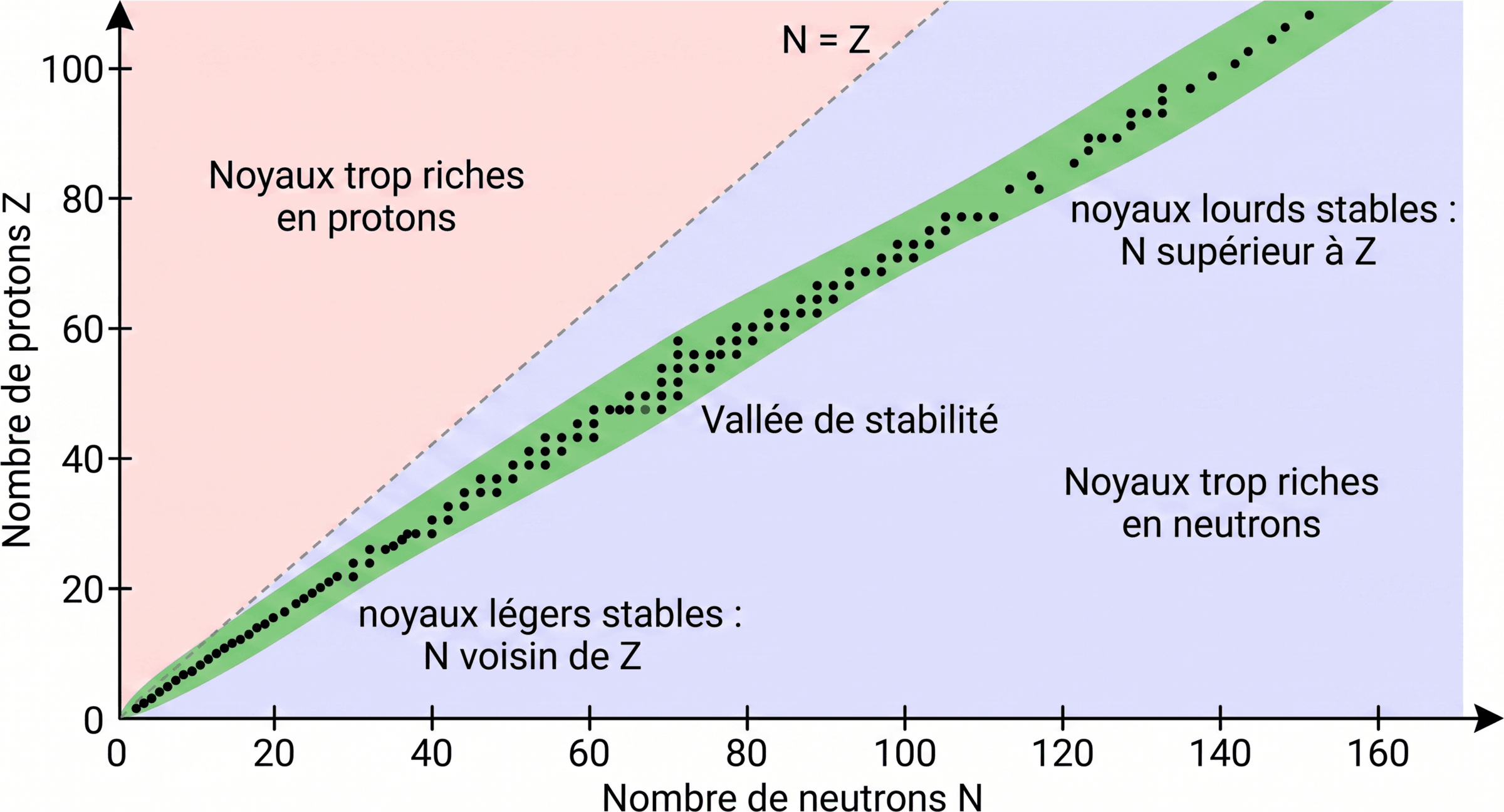 La vallée de stabilité dans le plan N,Z