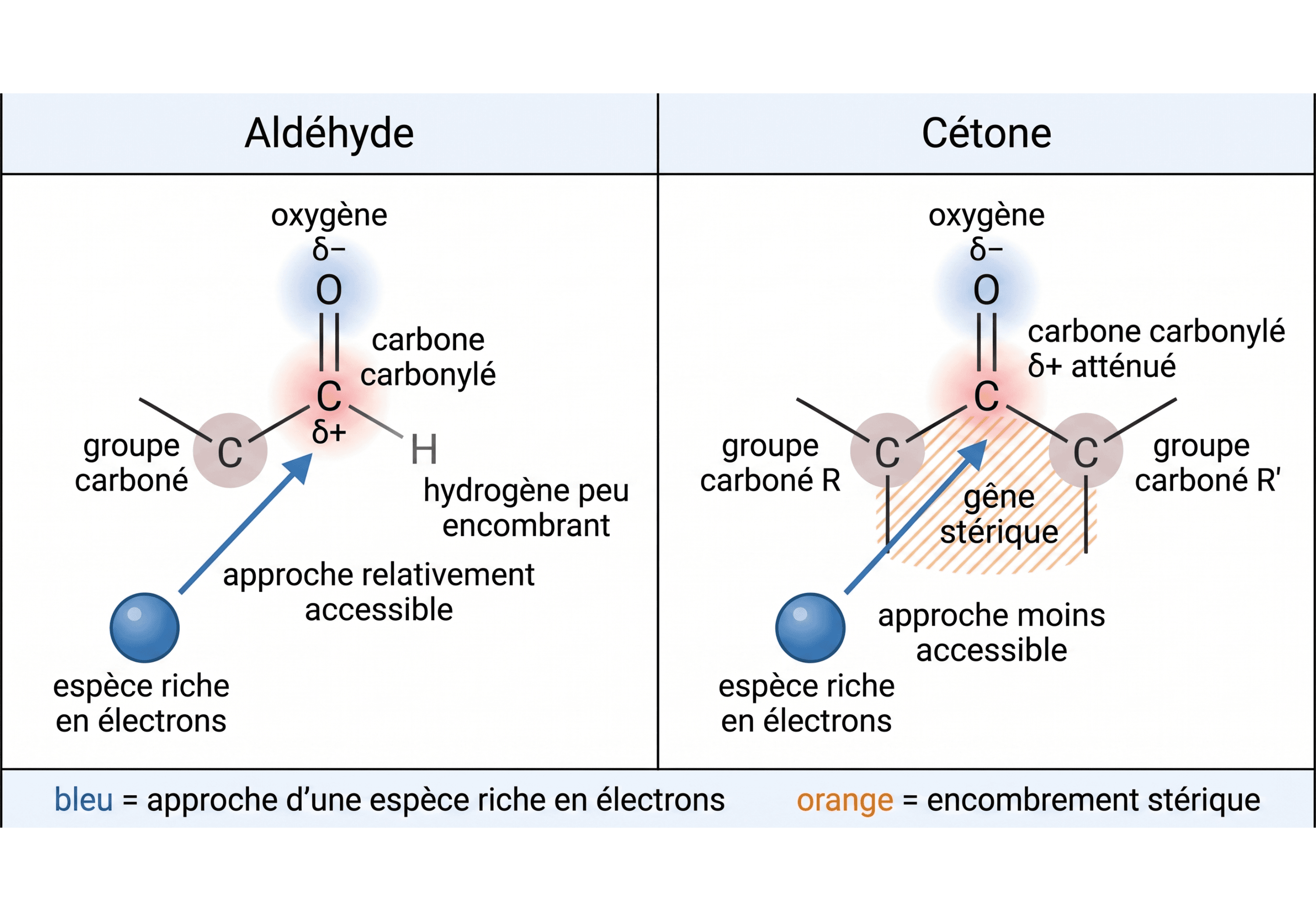 Effets électronique et stérique sur l’approche du carbonyle