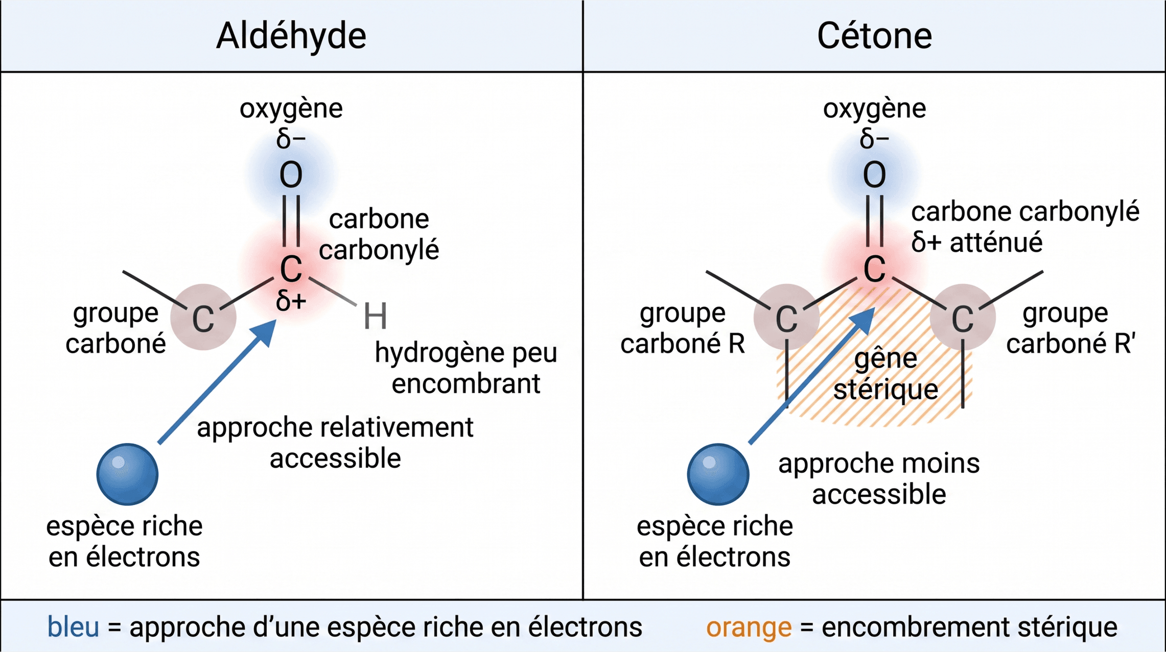 Effets électronique et stérique sur l’approche du carbonyle