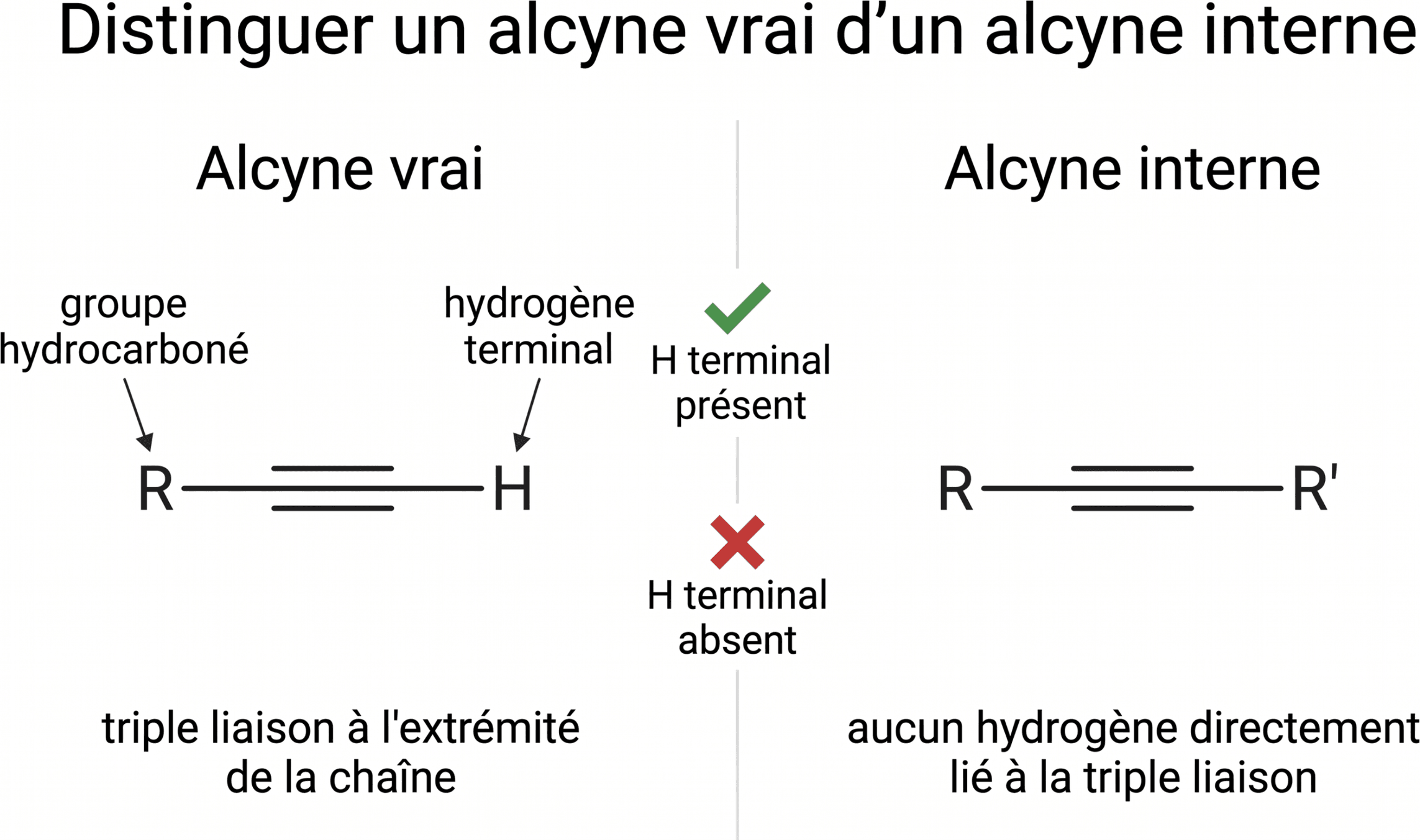 Distinguer un alcyne vrai d’un alcyne interne