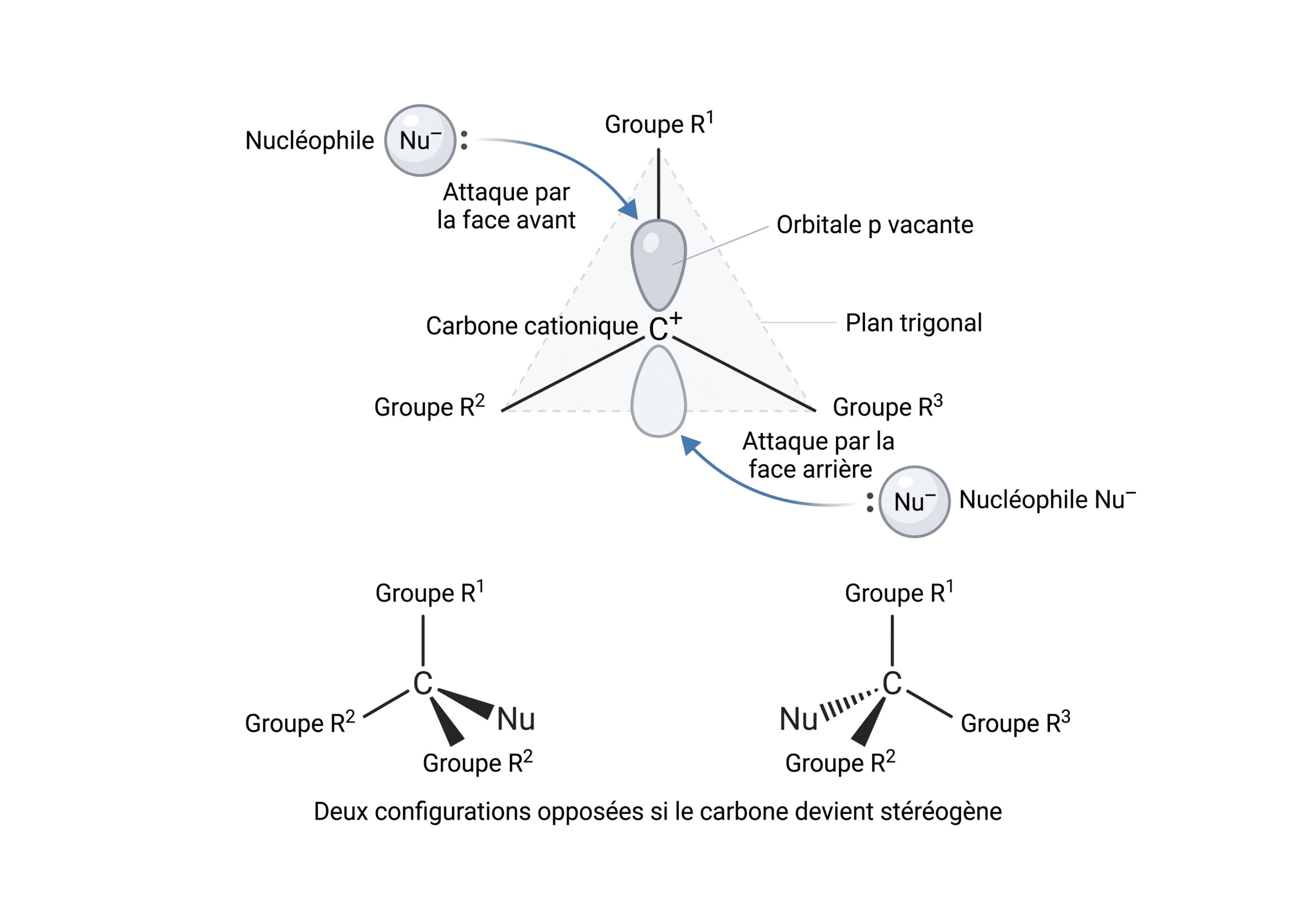 Attaque des deux faces d’un carbocation plan
