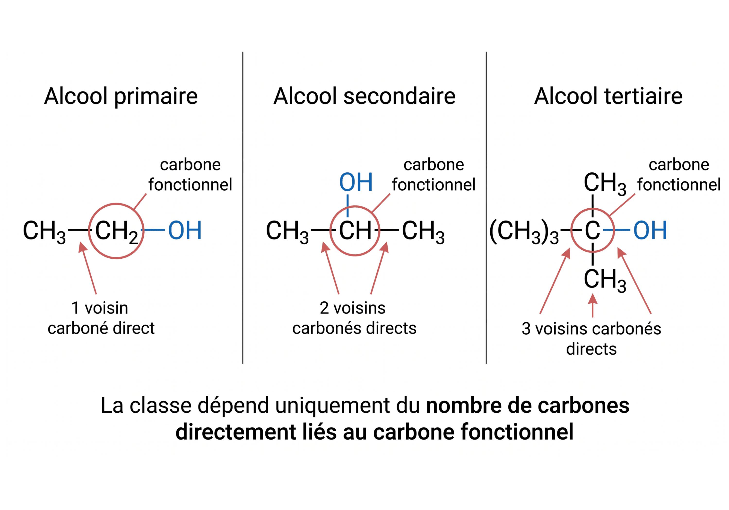 Reconnaître les classes primaire, secondaire et tertiaire d’un alcool