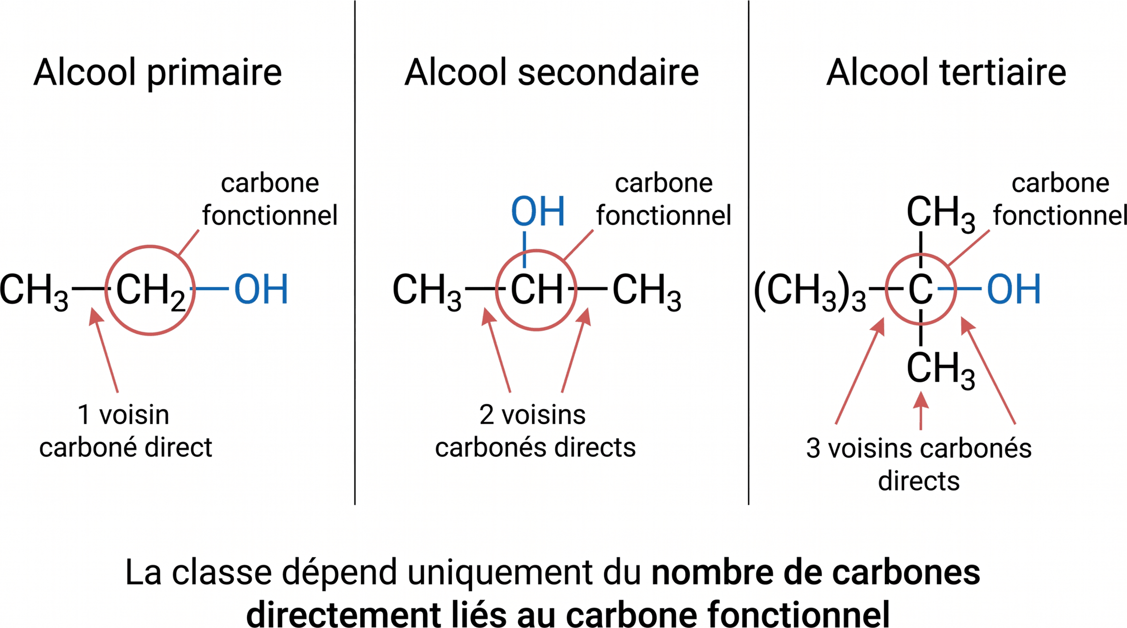 Reconnaître les classes primaire, secondaire et tertiaire d’un alcool