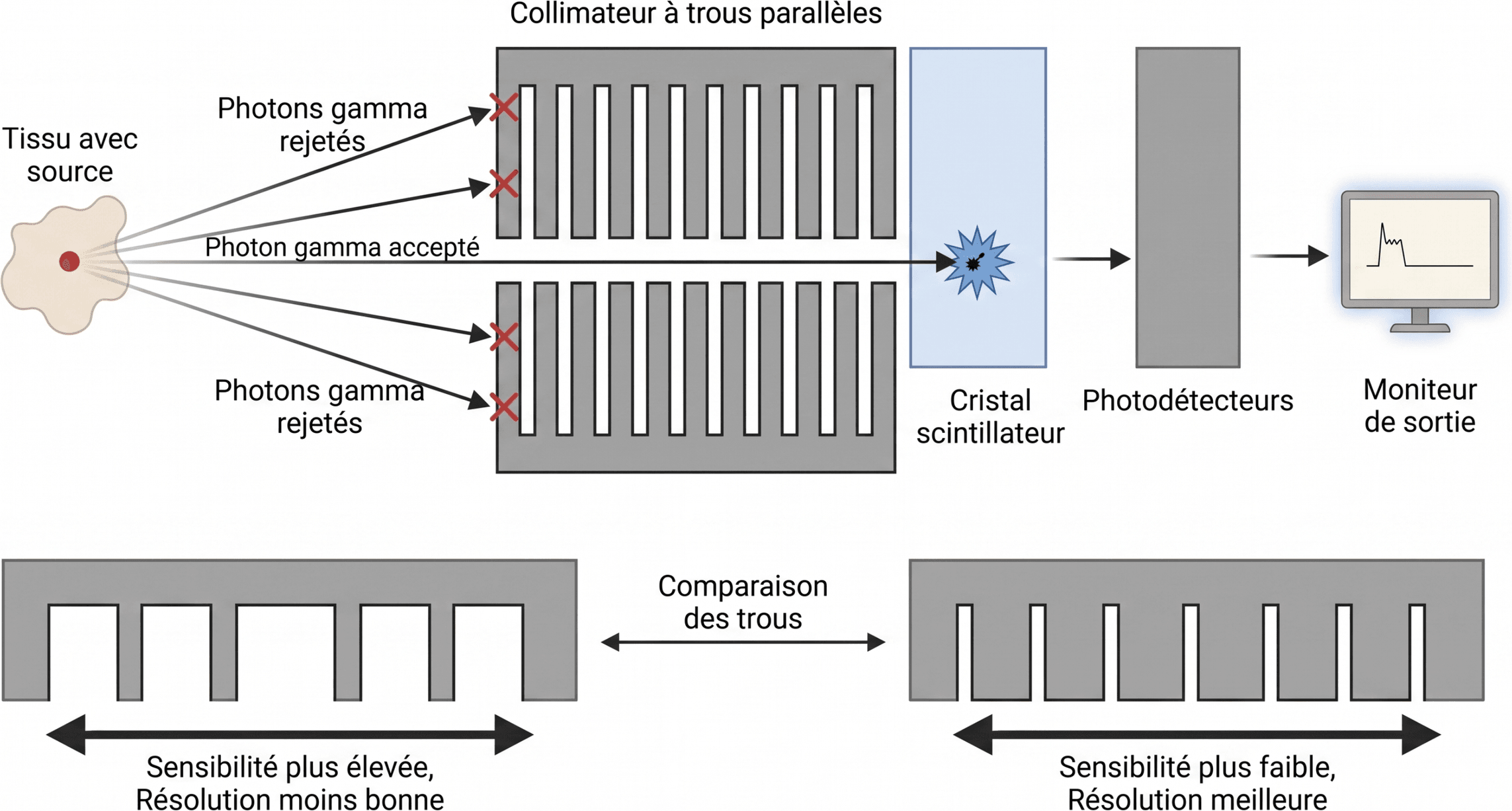 Sélection directionnelle par le collimateur d’une caméra à scintillation