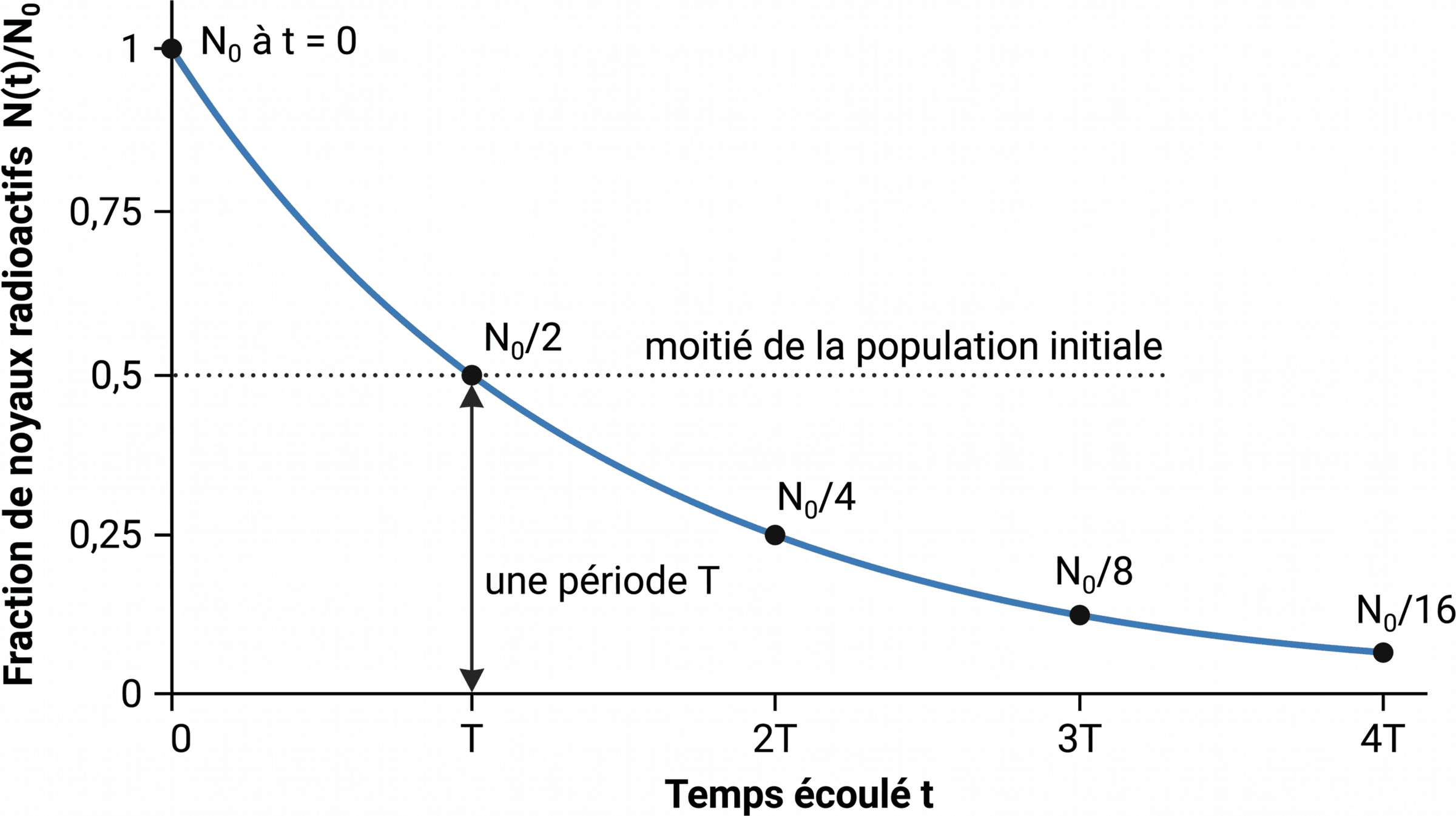 Décroissance exponentielle au fil des périodes radioactives
