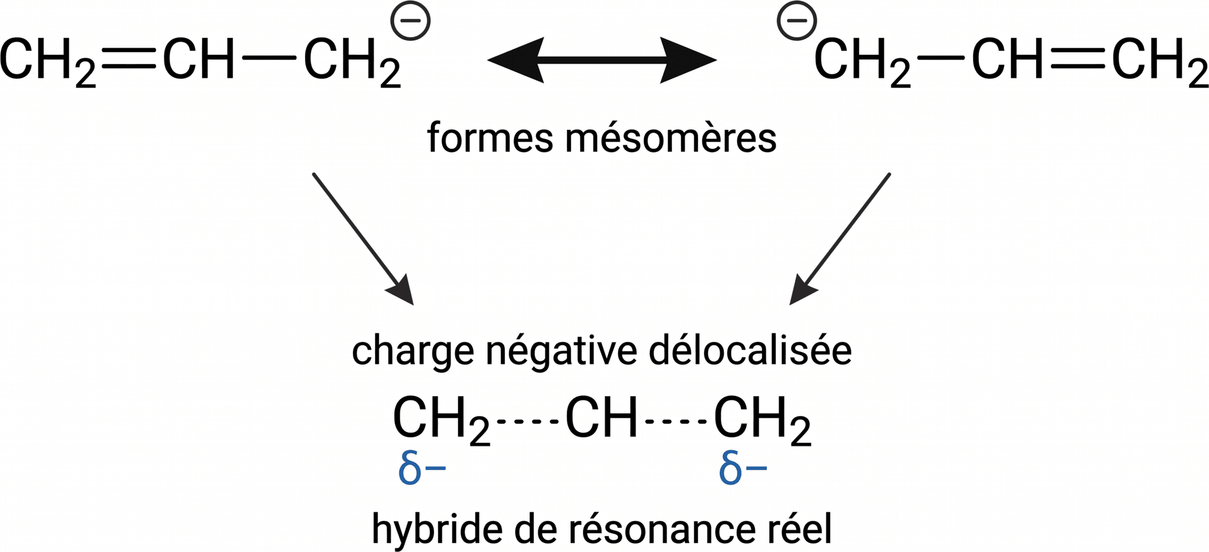 Formes mésomères et hybride de résonance de l'anion allylique