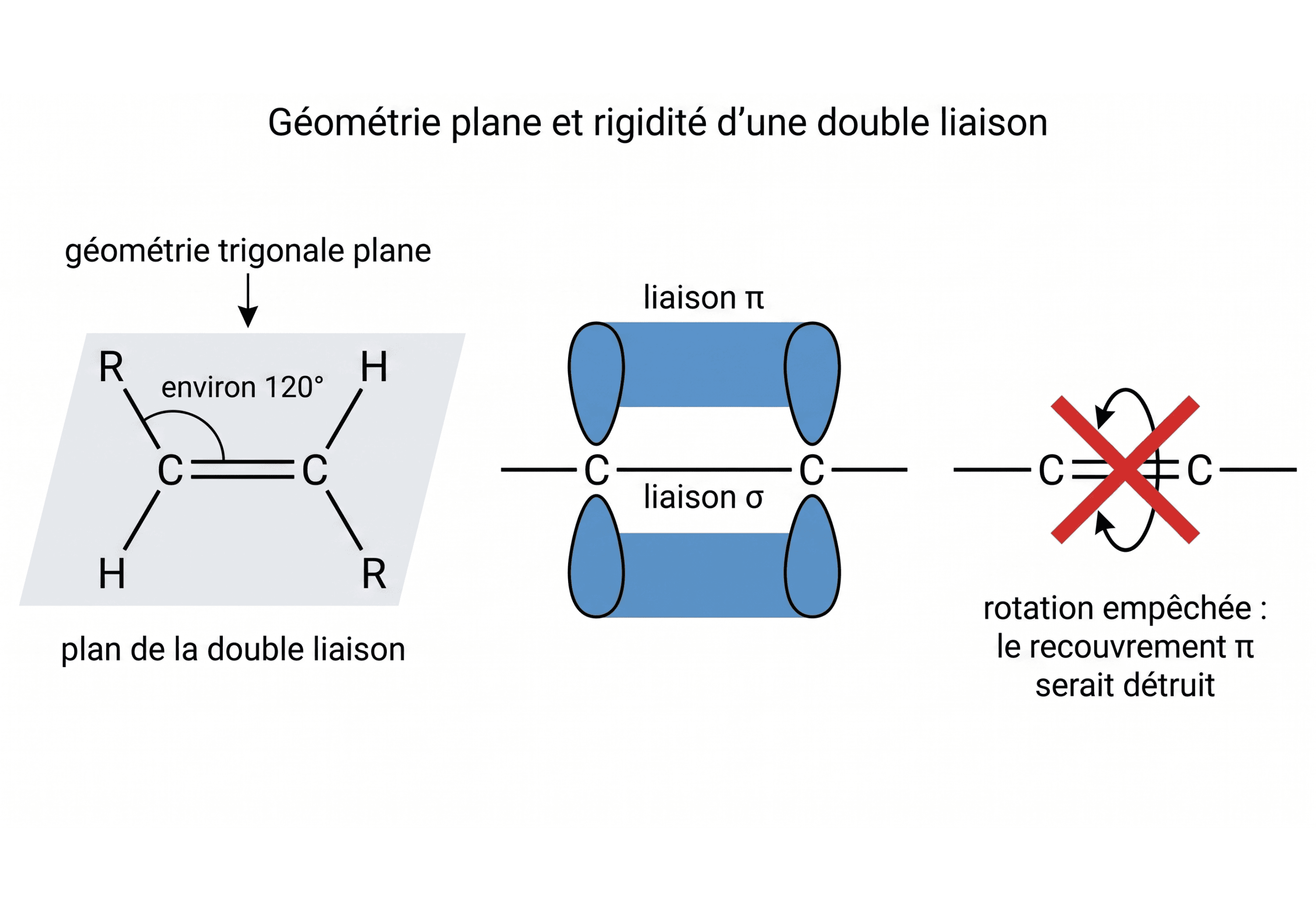 Géométrie plane et rigidité d’une double liaison