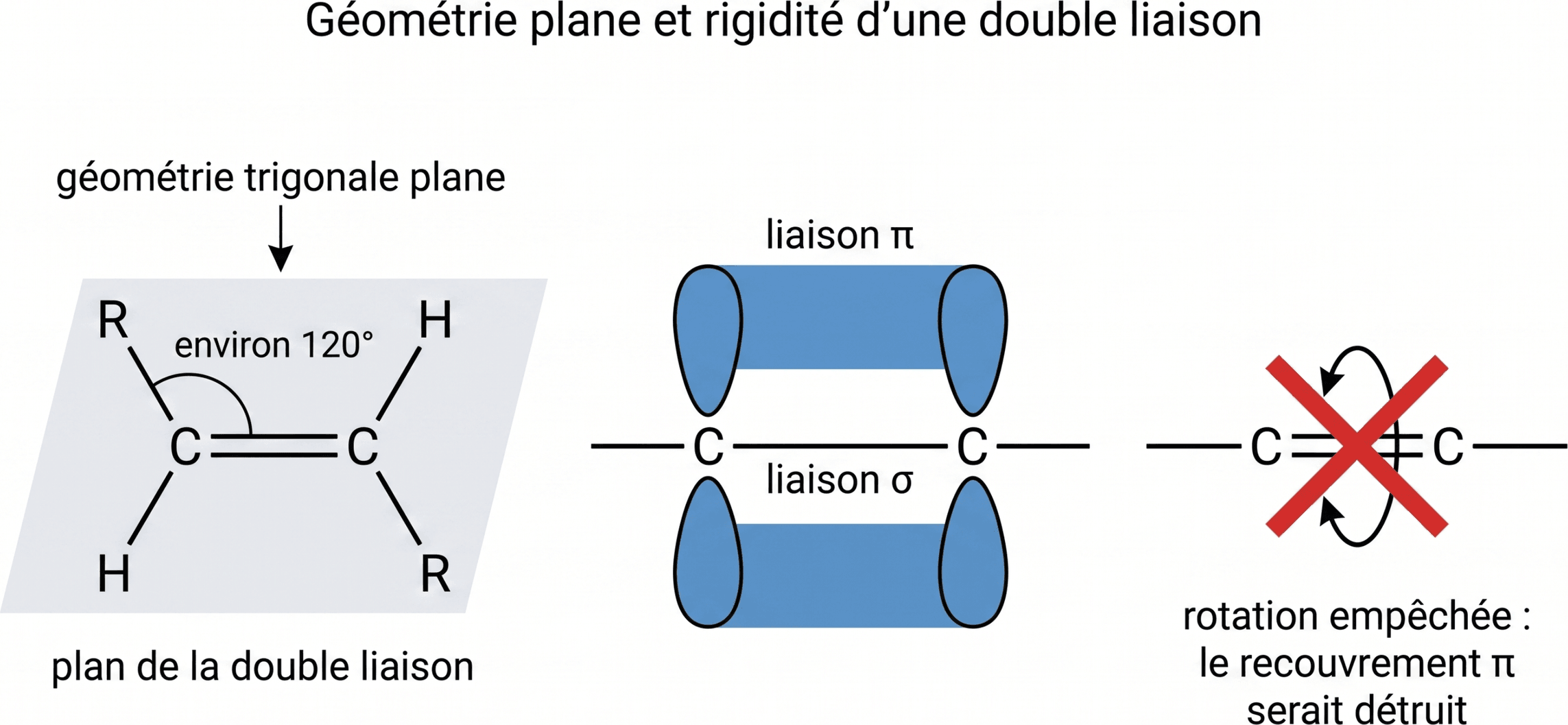 Géométrie plane et rigidité d’une double liaison