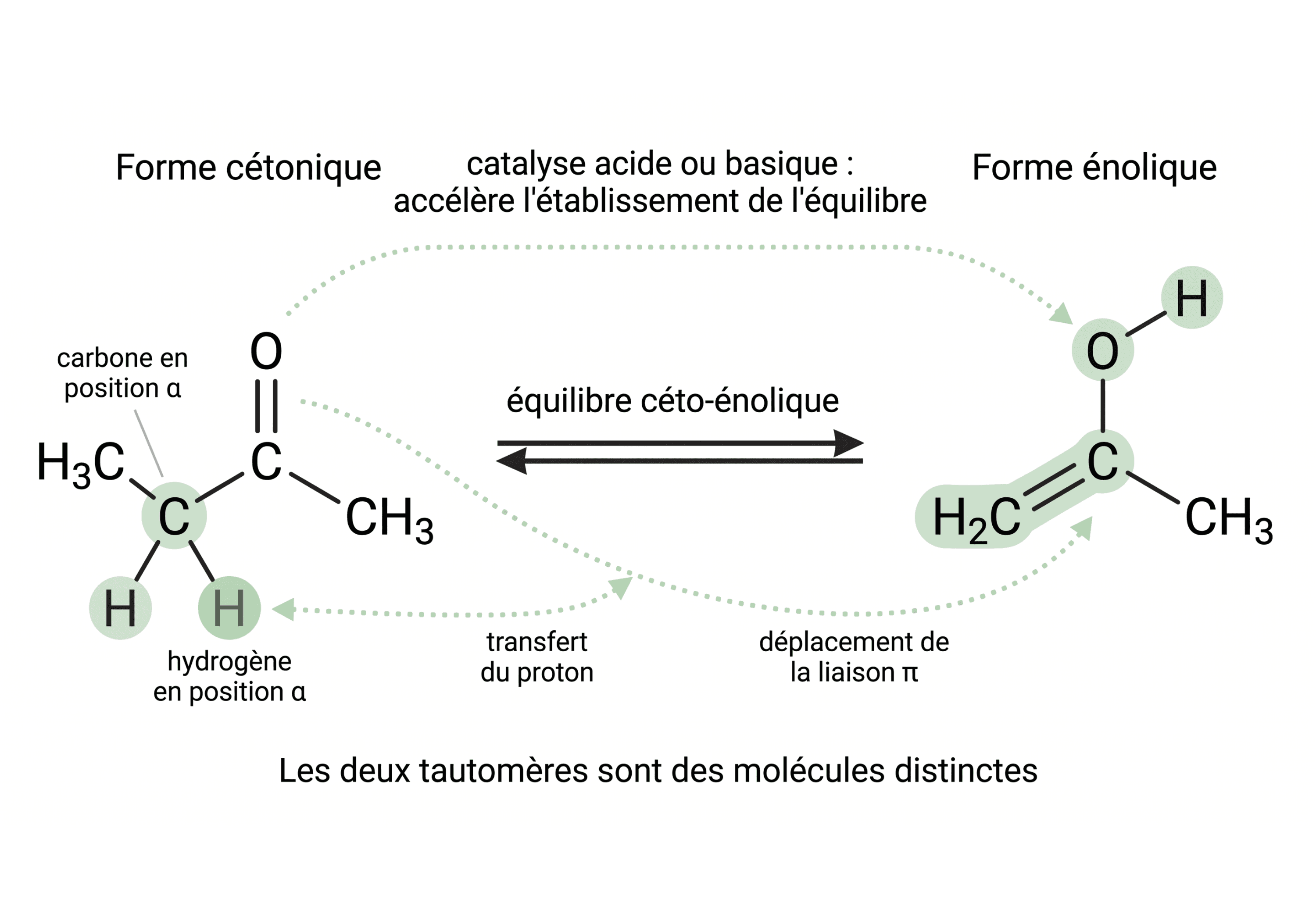 Interconversion céto-énolique de l’acétone