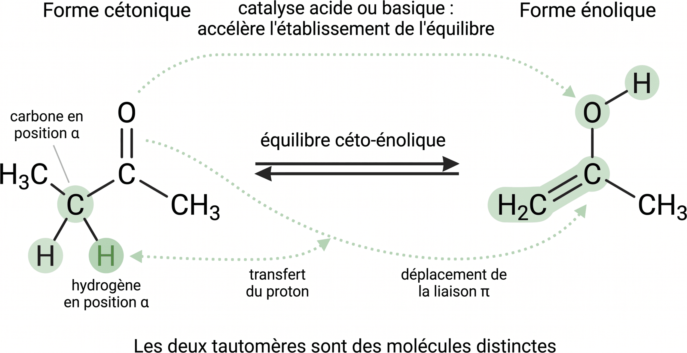 Interconversion céto-énolique de l’acétone