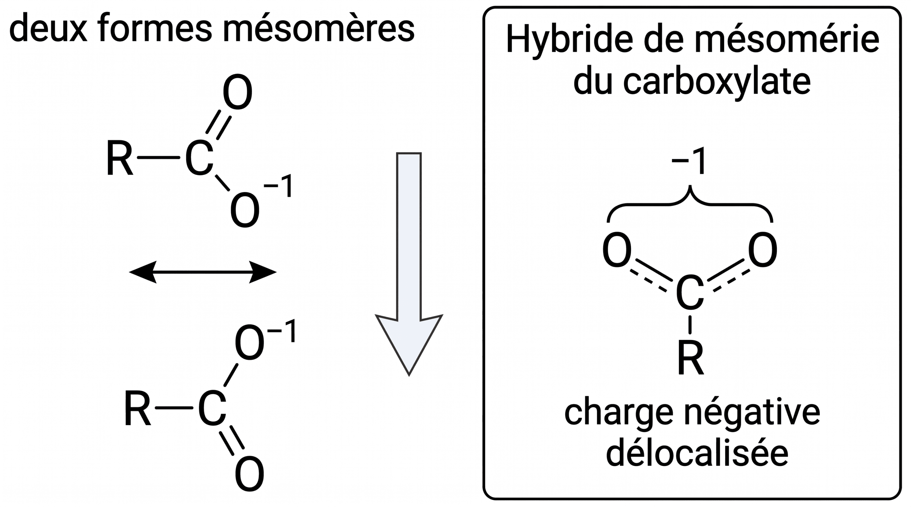 Délocalisation de la charge dans l’ion carboxylate