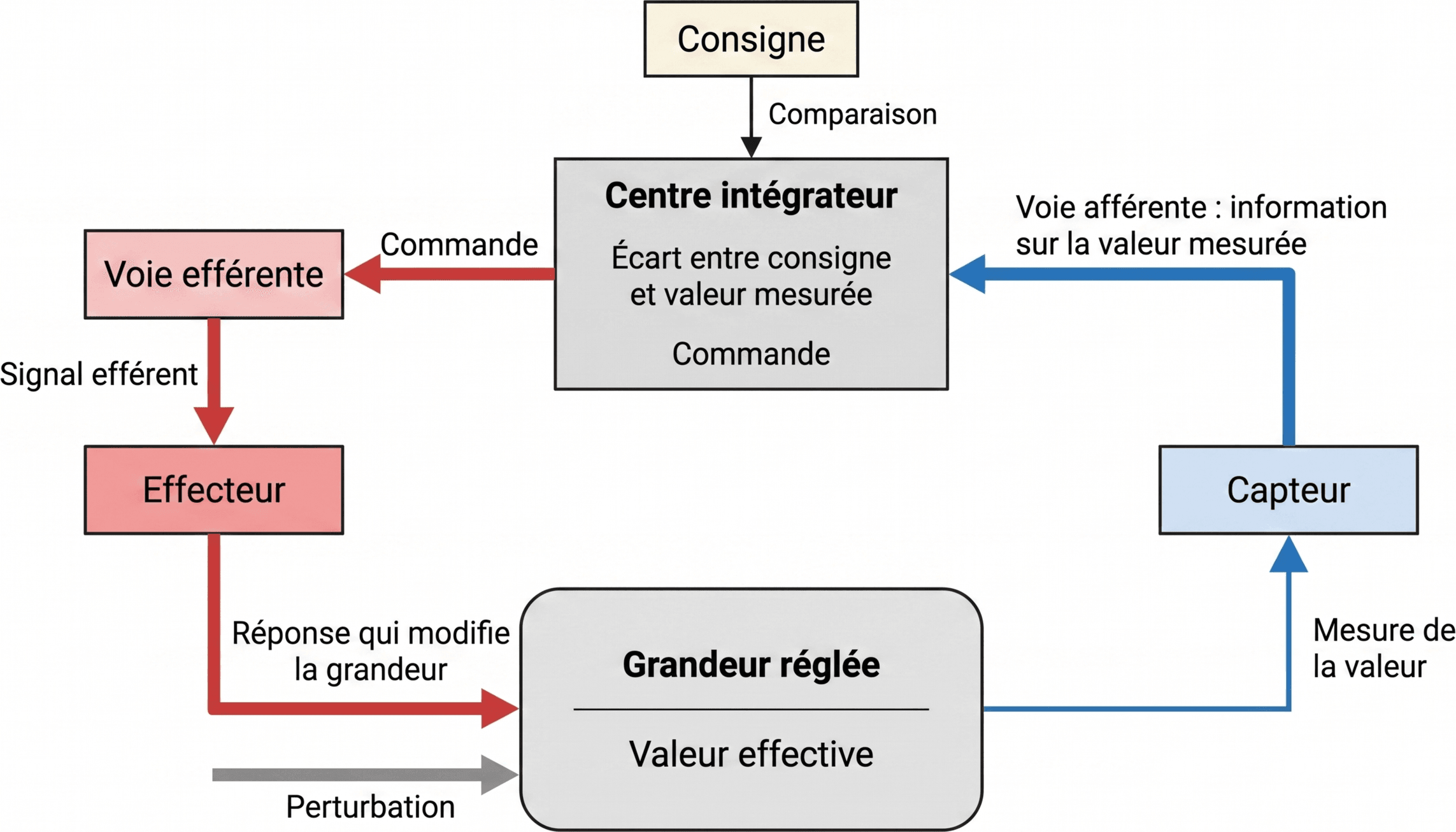 Organisation d'une boucle de régulation fermée