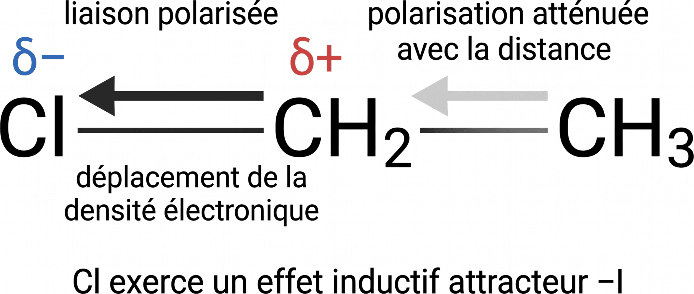 Polarisation inductive dans le chloroéthane