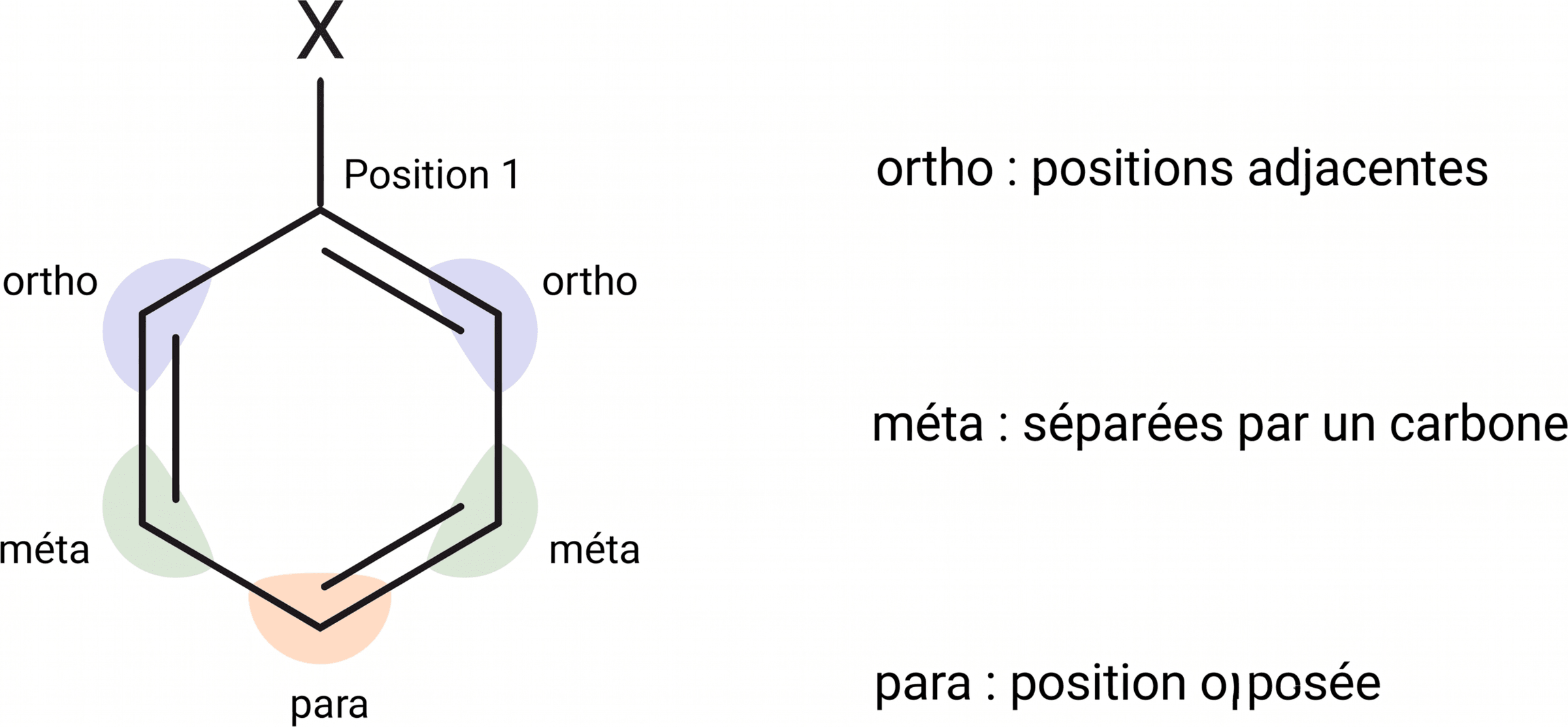 Repérage des positions ortho, méta et para
