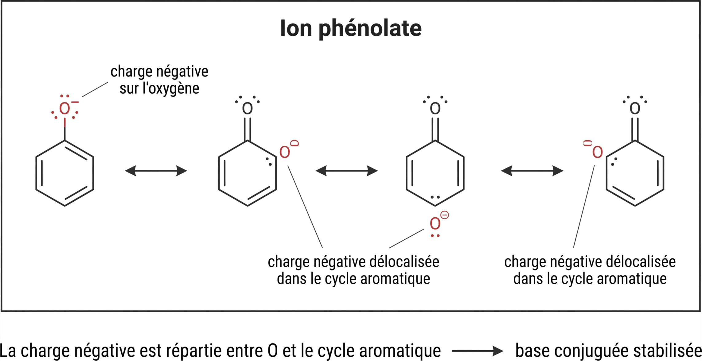 Délocalisation de la charge dans l’ion phénolate