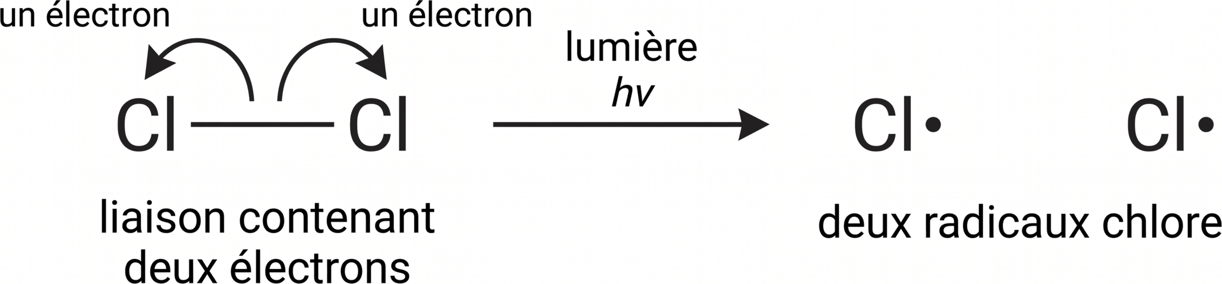 Rupture homolytique du dichlore par deux demi-flèches