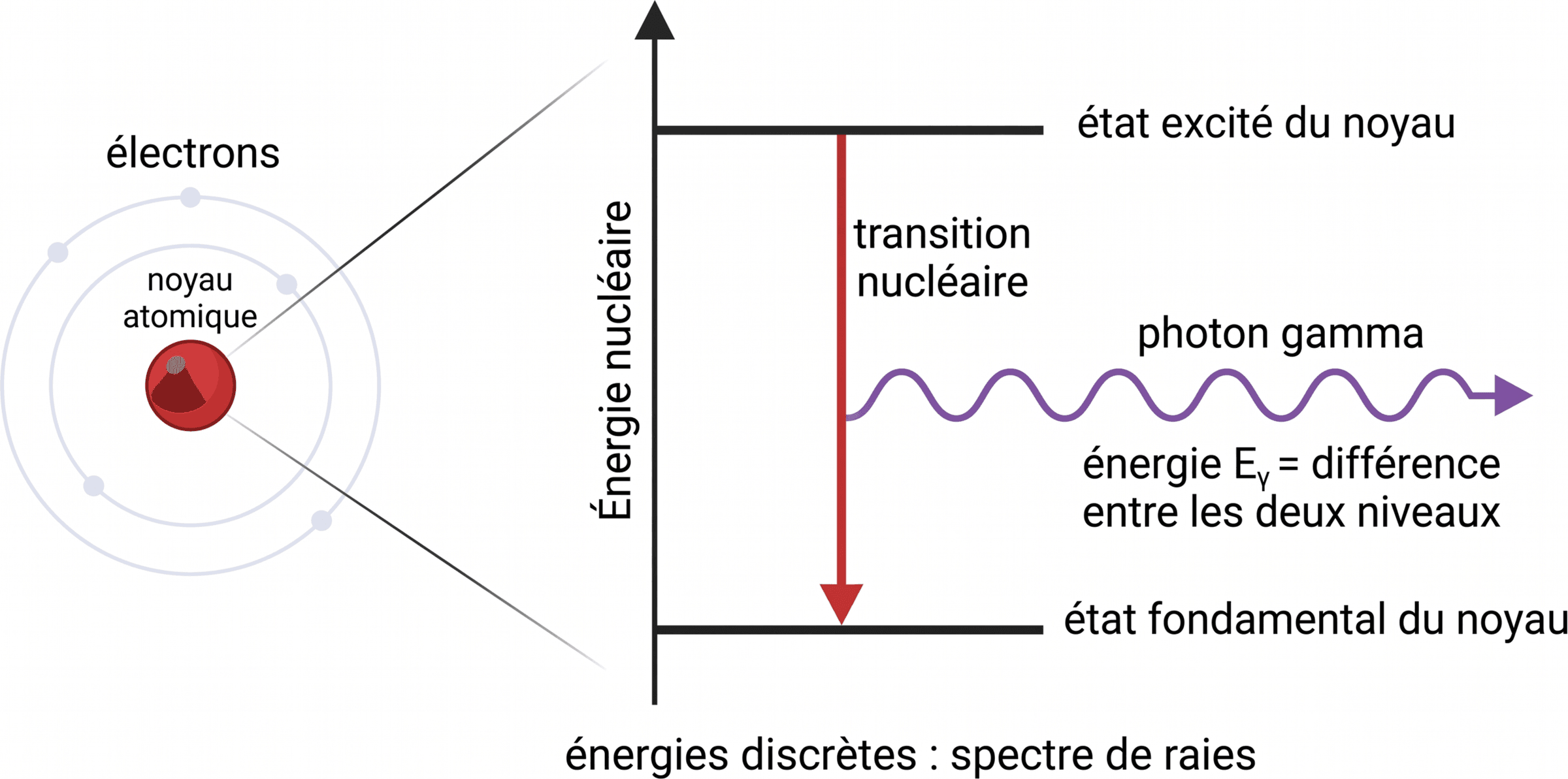 Émission gamma lors d’une transition nucléaire