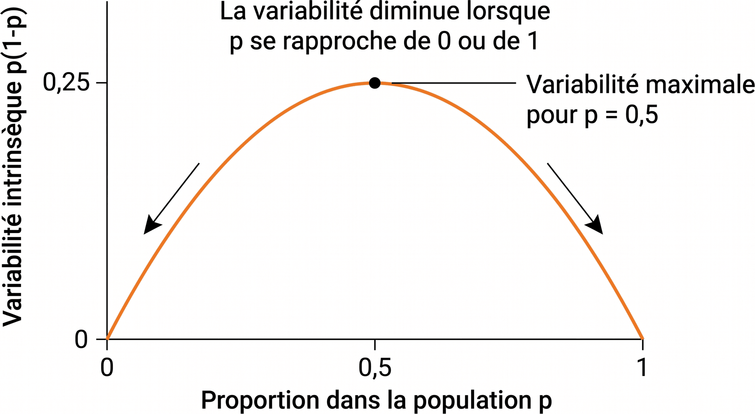 Variabilité intrinsèque d'une proportion selon p