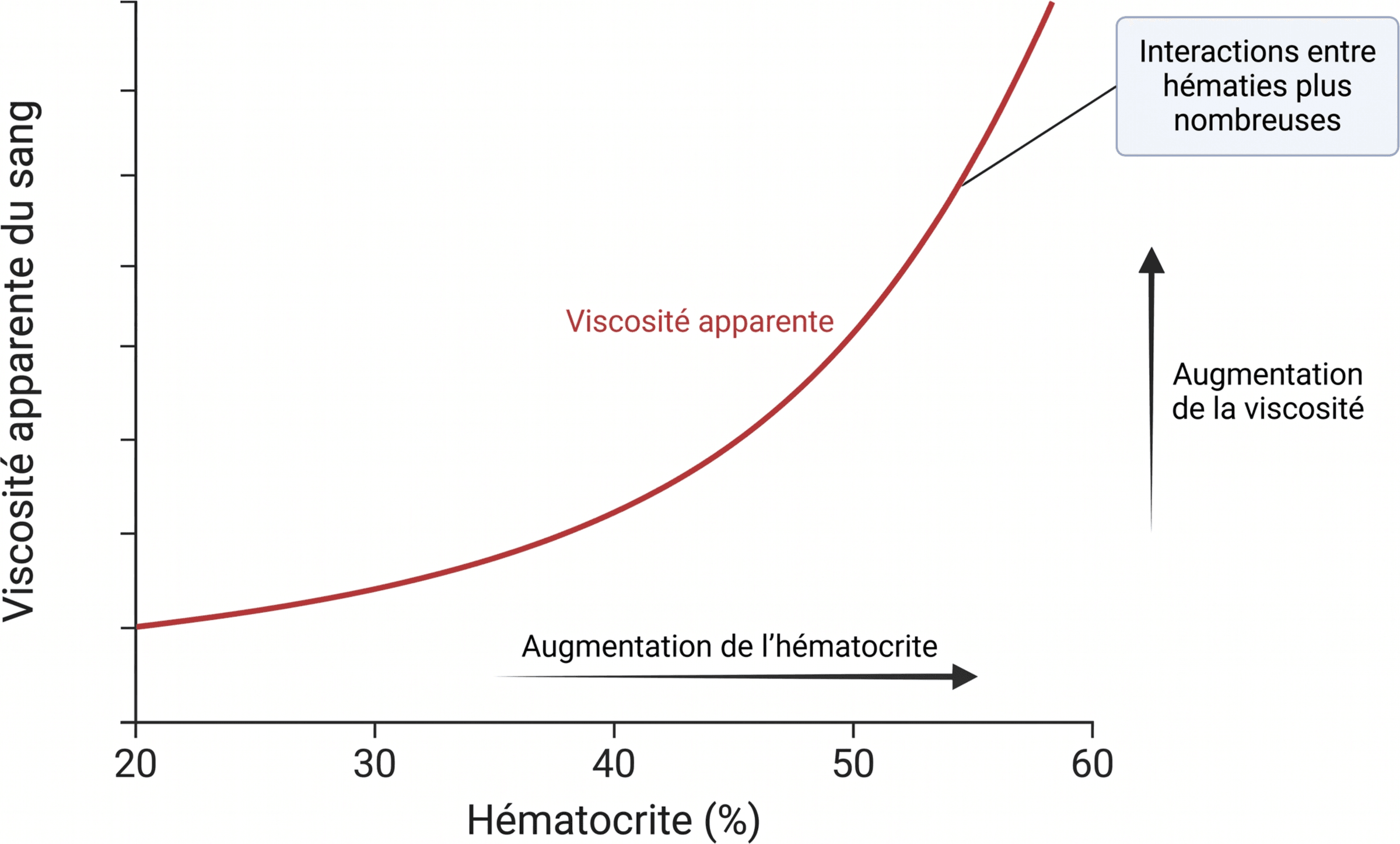 Augmentation non linéaire de la viscosité avec l’hématocrite